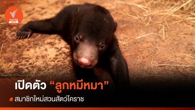 เปิดตัว "ลูกหมีหมา" สมาชิกใหม่สวนสัตว์โคราช