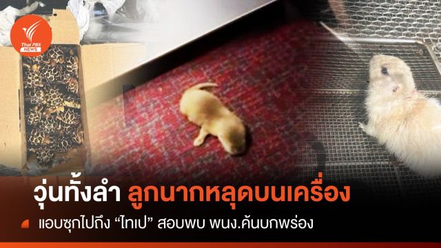 วุ่นทั้งลำ! ซุก "ลูกนากเล็บสั้น" หลุดบนเครื่องบินไทยเวียตเจ็ท