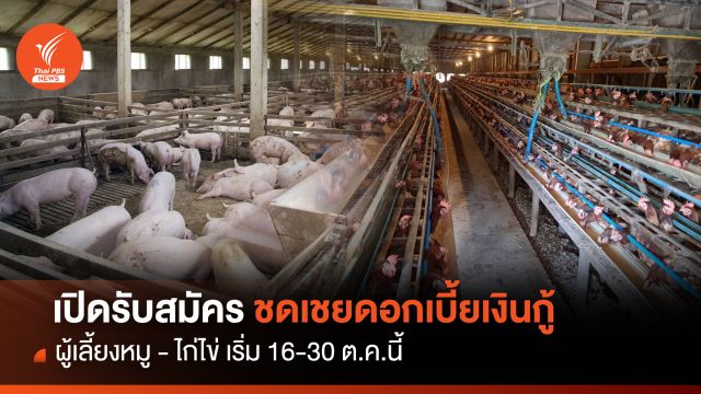 16-30 ต.ค.นี้ เปิดรับสมัครชดเชยดอกเบี้ยเงินกู้ ผู้เลี้ยงหมู-ไก่ไข่ 