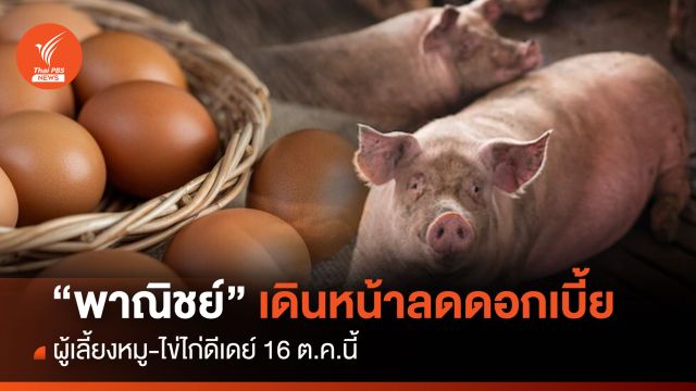   “พาณิชย์” เดินหน้าลดดอกเบี้ยผู้เลี้ยงหมู-ไข่ไก่ดีเดย์ 16 ต.ค.นี้