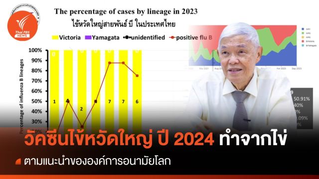 "หมอยง" เผย วัคซีนไข้หวัดใหญ่ปีหน้า 3 สายพันธุ์ ทำจากไข่
