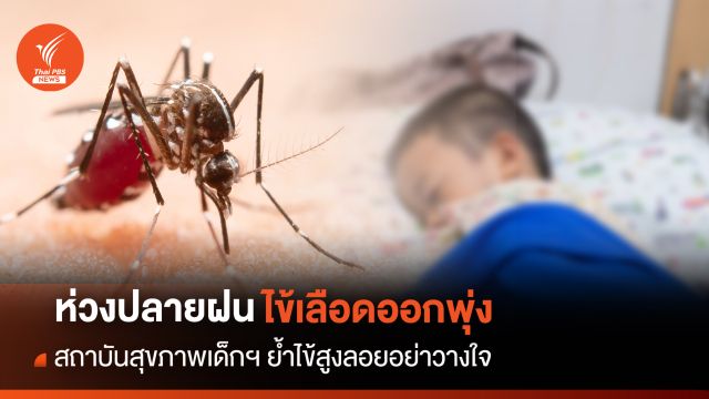 ห่วงปลายฝนต้นหนาว ไข้เลือดออกพุ่ง