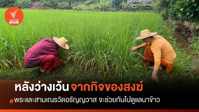 พระปลูกข้าวช่วยคนยากไร้ จ.เชียงใหม่