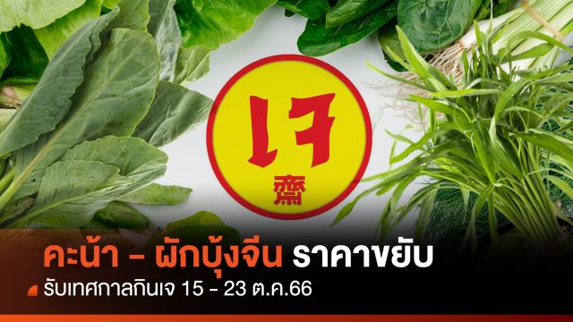 คะน้า-ผักบุ้งจีน ราคาขยับรับ "เทศกาลกินเจ 2566"