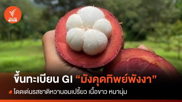 ขึ้นทะเบียน “มังคุดทิพย์พังงา” สินค้า GI ใหม่ 