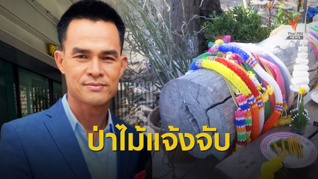 แจ้งอีก 1 คดี "ลุงพล" ครอบครองไม้หวงห้าม "มะค่าแต้" 