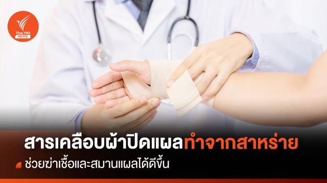 นักวิจัยเปลี่ยนสาหร่ายเป็นสารเคลือบผ้าปิดแผล ช่วยฆ่าเชื้อและสมานแผลได้ดีขึ้น