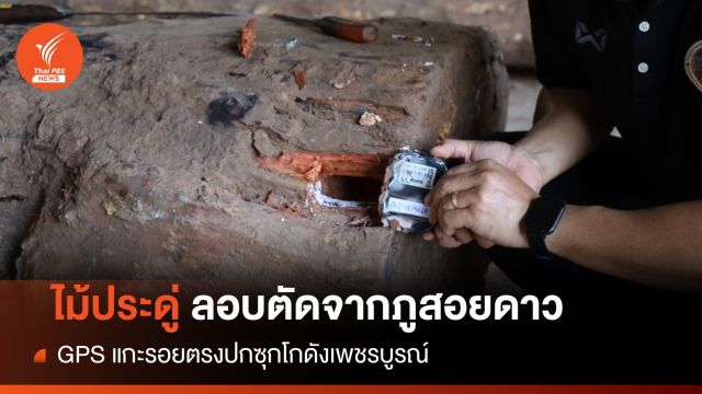  แกะรอย GPS ยึด "ไม้ประดู่" ลอบตัดอุทยานภูสอยดาวซุกโกดัง 