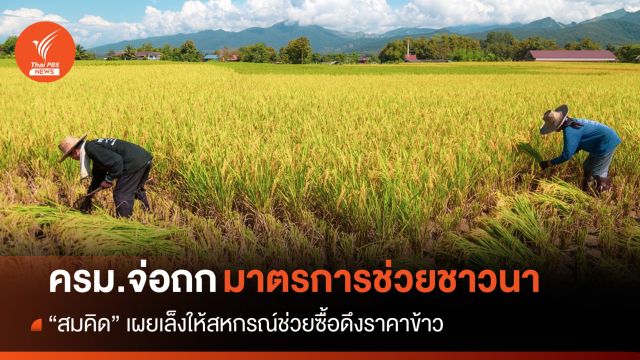 "สมคิด​" เผย ครม.จ่อถกมาตรการดึงราคาข้าวช่วยชาวนา
