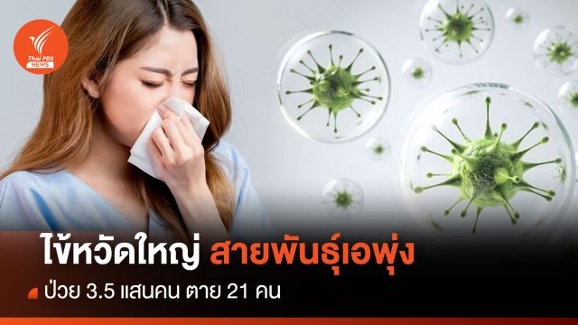 ไข้หวัดใหญ่ สายพันธุ์เอ พุ่งป่วย 3.5 แสนคน ตาย 21 คน 