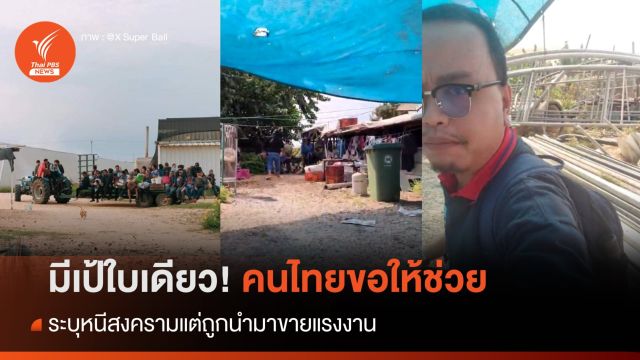 มีเป้ใบเดียว! คนไทยขอให้ช่วย ระบุหนีสงครามแต่ถูกนำมาขายแรงงาน