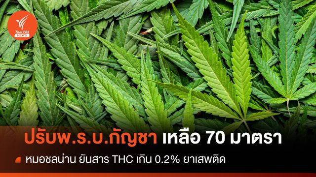 "หมอชลน่าน" เคาะปรับแก้ พ.ร.บ.กัญชาเหลือ 70 มาตรา