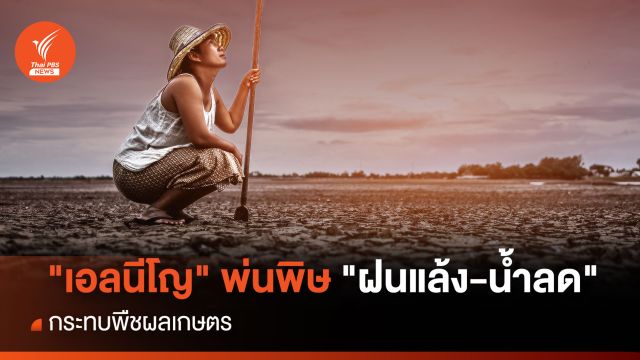  "เอลนีโญ" พ่นพิษ  "ฝนแล้ง-น้ำลด " กระทบพืชผลเกษตร