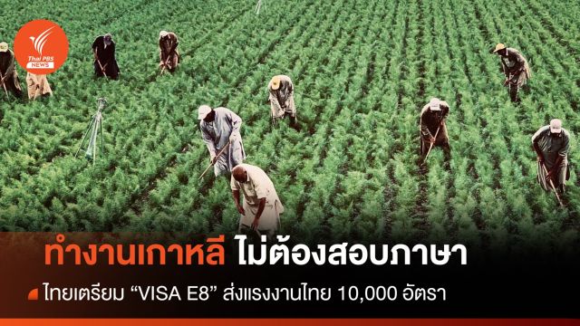ไทยเตรียม "VISA E8" หมื่นอัตรา ทำงานเกาหลีไม่ต้องสอบภาษา 