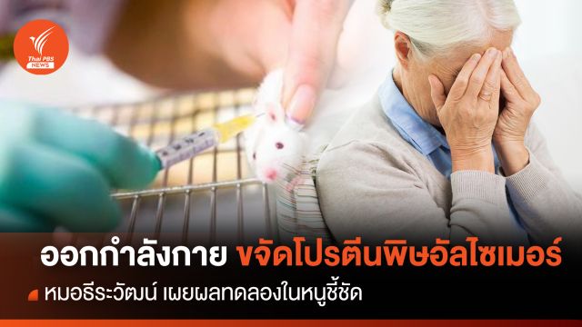  ชี้ "ออกกำลังกาย" ช่วยขจัดโปรตีนพิษอัลไซเมอร์