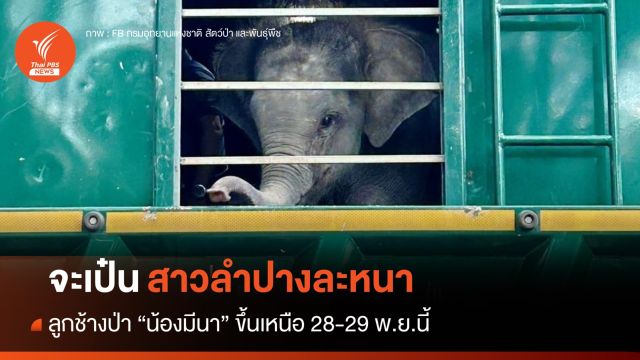 "น้องมีนา" จะเป๋นสาวลำปางแล้วหนา ขึ้นเหนือ 28-29 พ.ย.นี้เจ้า