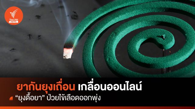 ยากันยุงเถื่อน เกลื่อนออนไลน์ "ยุงดื้อยา"ป่วยไข้เลือดออกพุ่ง 