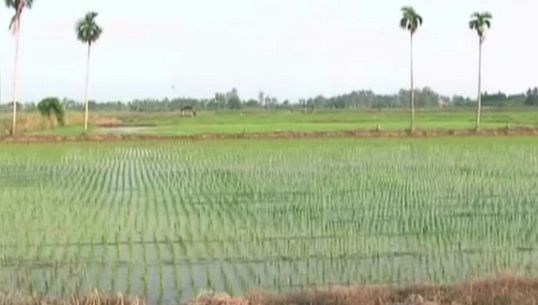 สภาเกษตรกรแห่งชาติเตรียมทำแผนแม่บท ดูแลสินค้าเกษตรครบวงจร