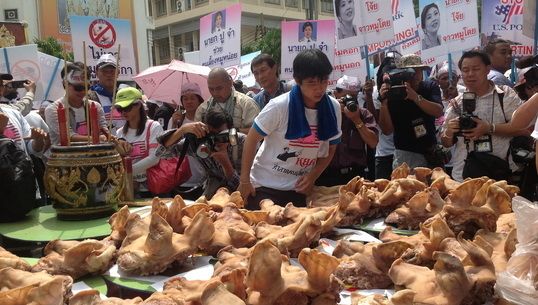 "ผู้เลี้ยงสุกร"ค้านรัฐบาลนำเข้าสุกรจาก"สหรัฐฯ" หวั่นกระทบผู้เลี้ยงในประเทศ
