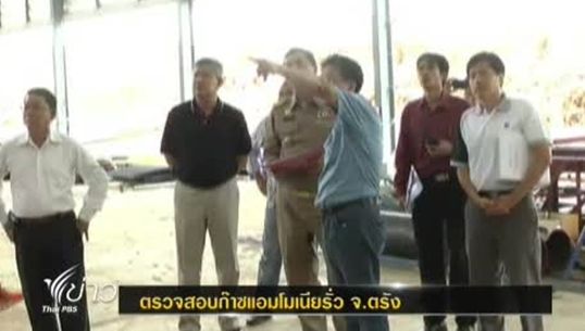 ผู้ว่าฯตรัง สั่งเร่งตรวจสอบก๊าซแอมโมเนีย ของโรงไฟฟ้าชีวมวลรั่ว 