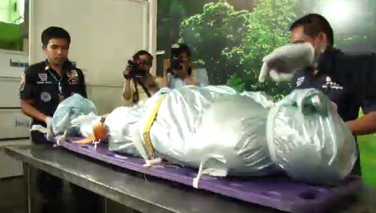 ตำรวจยันผลพิสูจน์เอกลักษณ์บุคคลเป็นศพ"เอกยุทธ" จริง