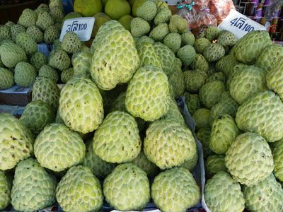 ยกระดับมาตรฐานสินค้า “น้อยหน่า” รับตลาดส่งออก