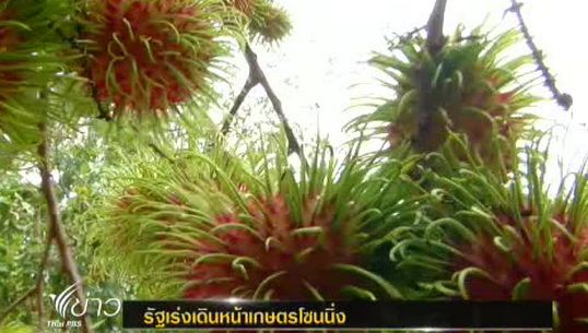 "รัฐบาล"เร่งเดินหน้า"เกษตรโซนนิ่ง"