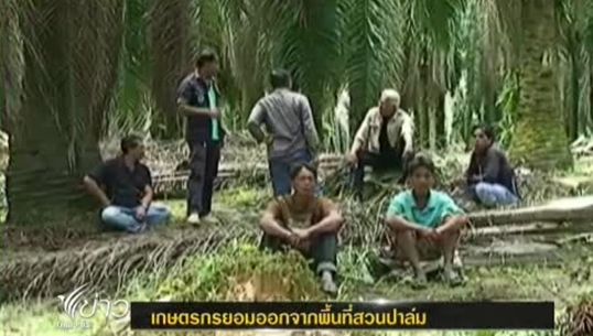 เกษตรกรยอมออกจากพื้นที่สวนปาล์มหมดสัมปทาน หลัง จนท.ขู่จะแจ้งความ