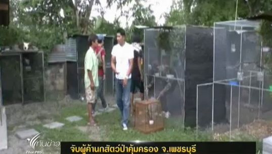 เจ้าหน้าที่จับผู้ค้านกสัตว์ป่าคุ้มครอง จ.เพชรบุรี