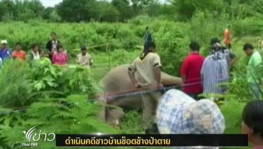 อุทยานแห่งชาติแก่งกระจานดำเนินคดีชาวบ้านช็อตช้างป่าตาย