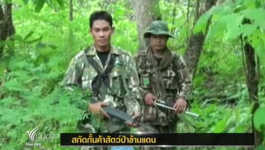 สกัดกั้นขบวนการค้าสัตว์ป่าข้ามแดน