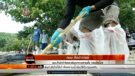 กรมประมงเผยคุณภาพน้ำทะเล และสัตว์ทะเลที่เกาะเสม็ดยังไม่พบสิ่งผิดปกติ