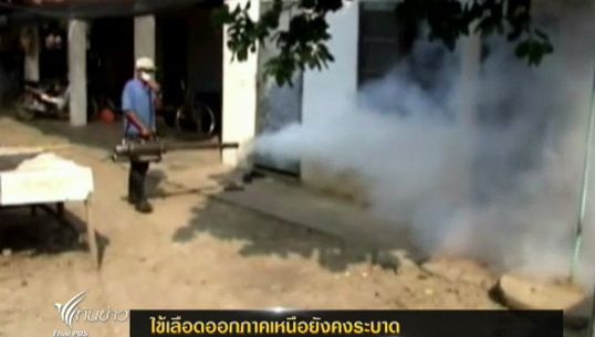 ไข้เลือดออกภาคเหนือยังคงระบาด