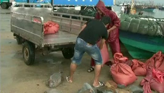 จีนเตรียมพร้อมรับมือพายุไต้ฝุ่น"อูตอร์"