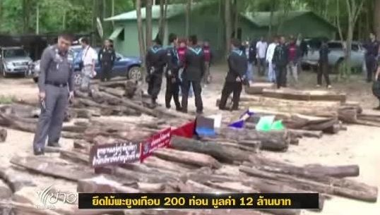  ทหารบึงกาฬจับขบวนการลอบขนไม้พะยูง ยึดของกลาง 196 ท่อน