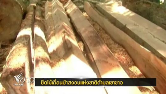 ป่าไม้ทุ่งสง จ.นครศรีฯ ยึดไม้ซุง 10 ท่อน บนผืนป่าที่ถูกทำลายเหลือ 500 ไร่