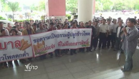ชาวไร่ข้าวโพด จ.เชียงใหม่ เรียกร้องให้รัฐประกันราคา
