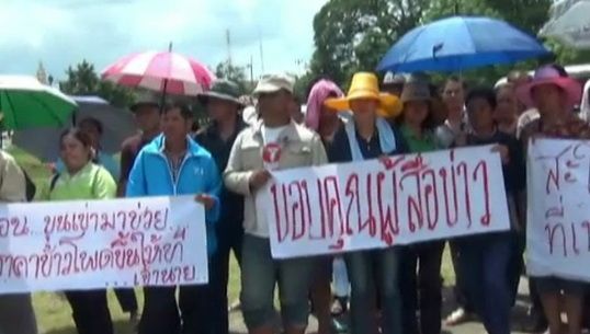 เกษตรกรจังหวัดพิษณุโลก-น่าน เรียกร้องแก้ปัญหาราคาข้าวโพดตกต่ำ