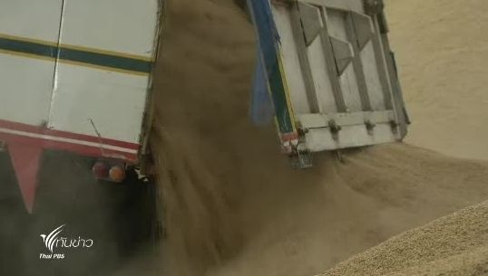 พณ.เตรียมประมูลขายข้าวผ่านเอเฟต 150,000 ตันในเดือน ต.ค.