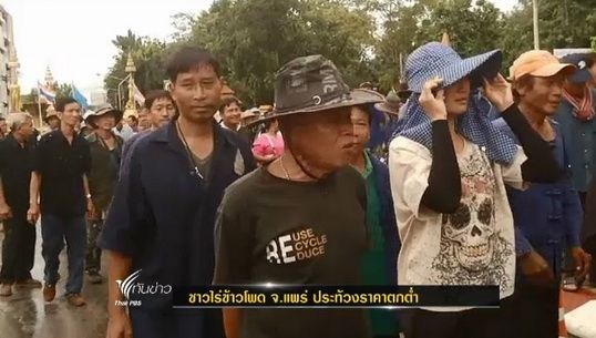 ชาวไร่ข้าวโพด จ.แพร่ ชุมนุมร้องรัฐบาลแทรกแซงราคาผลผลิต
