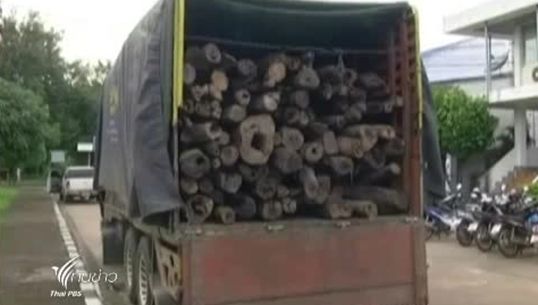 ตร.สกลนคร จับขบวนการค้าไม้พะยูง พร้อมของกลางกว่า 200 ท่อน