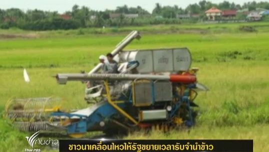 ชาวนา จ.อ่างทอง เตรียมเคลื่อนไหวให้รัฐขยายเวลารับจำนำข้าว