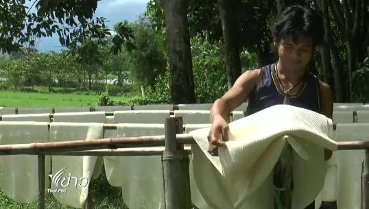 เกษตรและสหกรณ์ เตรียมดันยางไทย "ศูนย์กลางอาเซียน" หวังแก้ราคาระยะยาว