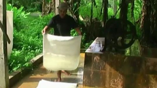 เครือข่ายชาวสวนยางเตรียมหารือกับตัวแทนรัฐบาล ช่วยเหลือลูกจ้างกรีดยาง