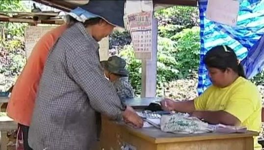 กระทรวงเกษตรฯ ระบุมีเกษตรกรยางพารากว่า 1 ล้านรายขึ้นทะเบียนใน 69 จังหวัด