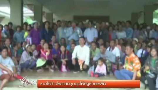 ชาวไร่ข้าวโพด จ.พะเยา นัดชุมนุมที่ศาลากลางจังหวัด จี้รัฐช่วยเหลือเกษตรกร