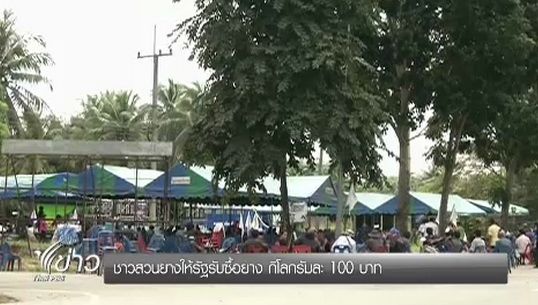 ชาวสวนยางพารา 16 จังหวัดภาคใต้กลับมายึด 5 ข้อเรียกร้องเดิม