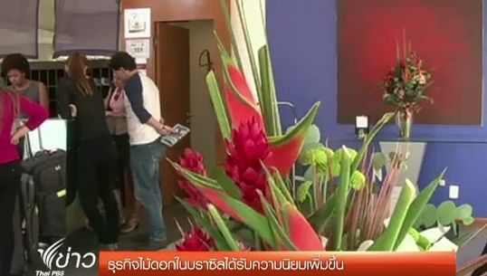 ธุรกิจไม้ดอกในบราซิลได้รับความนิยมเพิ่มขึ้น