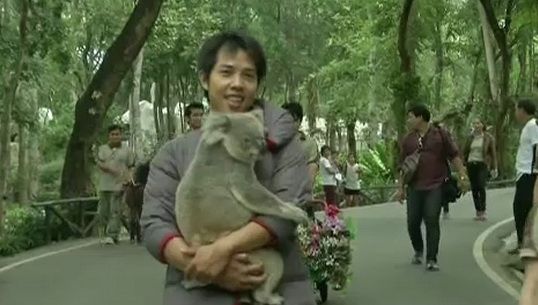 สวนสวนสัตว์เชียงใหม่จัดขบวนพาเหรดสัตว์เปิดฤดูท่องเที่ยว