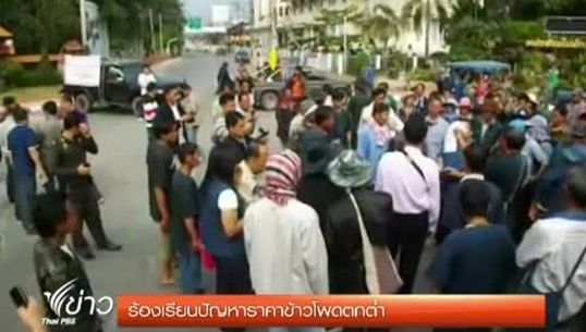 เกษตรกร ชุมนุมปิดศาลากลางจังหวัดแพร่ ทวงเงินชดเชยราคาข้าวโพดตกต่ำ